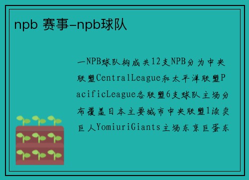 npb 赛事-npb球队